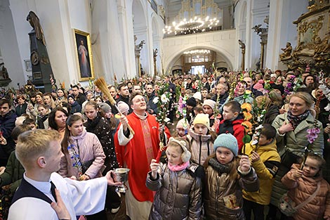 Вербное воскресенье в костеле Святого Франциска Ксаверия в Гродно