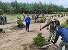 Благоустройство Парка воинов-интернационалистов в Бресте