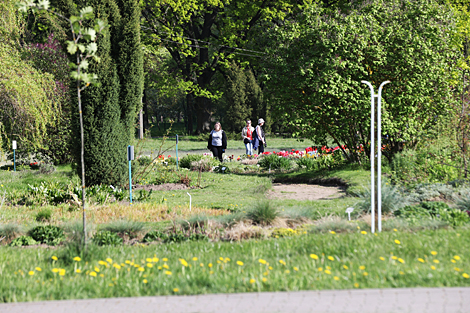 Spring in Botanical Garden in Minsk