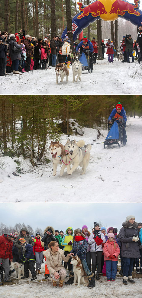 International mushers’ festival Northern Dogs 