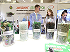 Выставка "Ecology Expo-2023" в Минске