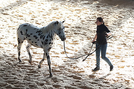 Horse show Spring 2024 in Minsk