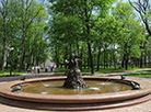 Fountain A Boy with a Swan in the Alexander Park 