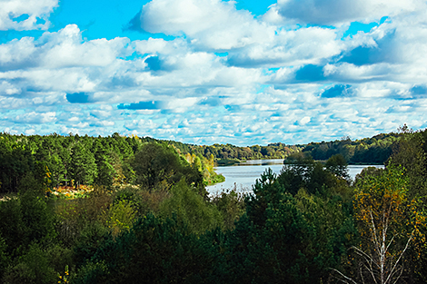 Осенний пейзаж в Гродненской области 