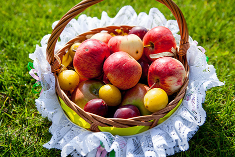 Savior of the Apple Feast Day: traditions and the beauty of the fruit 