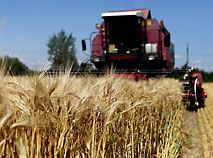 Hot Season 2016: Harvesting in Belarus