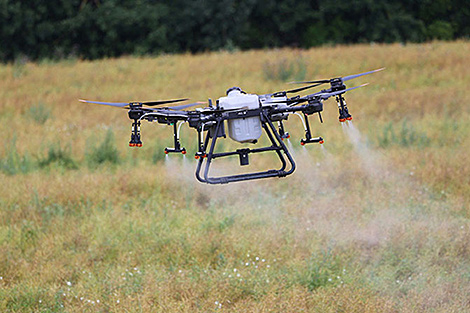 Lukashenko urges digitalization in agriculture