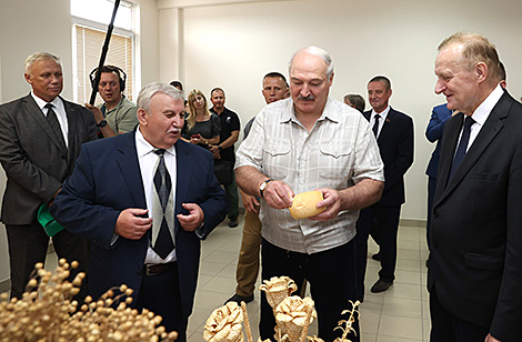 Will Belarus ensure its own food security? Lukashenko wants to turn on ‘total dictatorship’