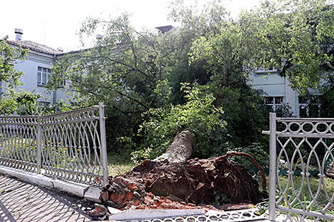 Lukashenko monitors storm recovery efforts in Belarus