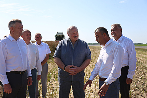 Lukashenko urges to pay more attention to harvesting tactics