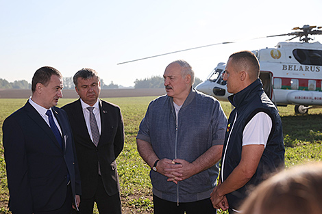 Lukashenko sets tasks for fruit industry