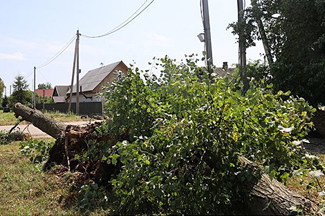 Lukashenko signs decree on relief and recovery in storm-hit regions