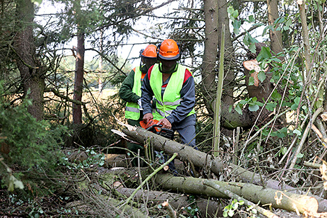 Lukashenko meets with Gomel Oblast governor to discuss storm response effort