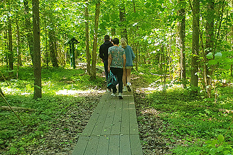 Over 260,000 tourists visit Belarus’ nature reserves in 2024