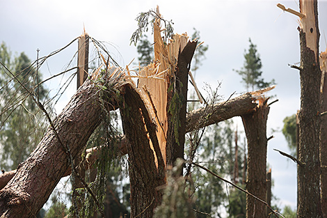 Lukashenko: We need to learn lessons from recent natural disaster