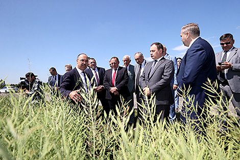 Belarus premier sees informatization as crucial component of further development of agriculture