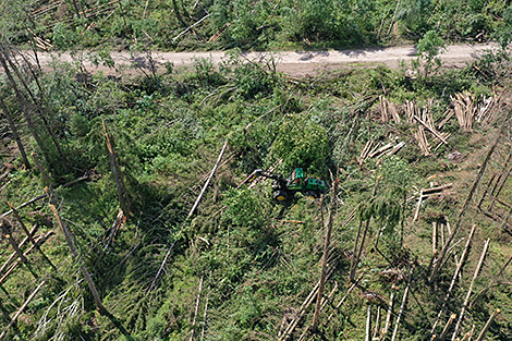 Lukashenko draws parallels between natural disaster, warfare