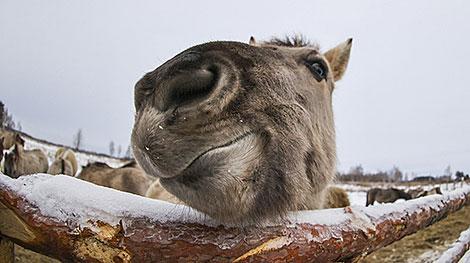 В заказнике 