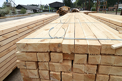 Ambassador: Kazakhstan seeks closer cooperation with Belarus in building materials industry, wood processing