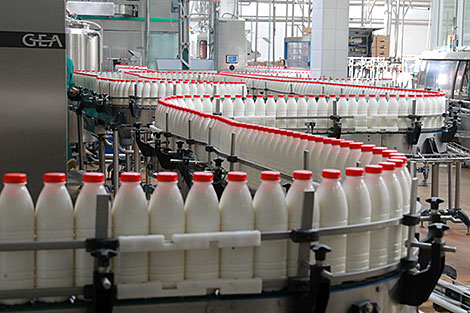 Mongolia interested in Belarus’ flour, dairy products