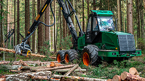 Улучшились условия продажи лесных машин 