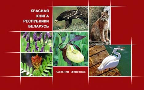 45 гадоў Чырвонай кнізе Беларусі