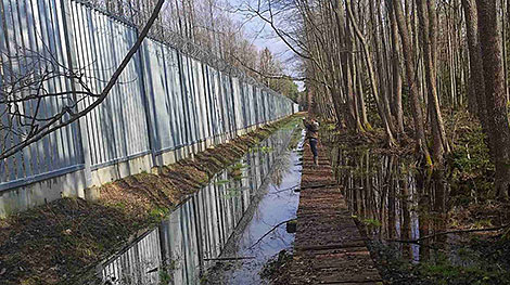 Місія ЮНЕСКА пацвердзіла негатыўны ўплыў польскай агароджы на экасістэмы ў Белавежскай пушчы