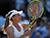 Sasnovich into second round of WTA 125 tournament in Canberra