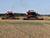 Over 6.1m tonnes of grain, rapeseed threshed in Belarus