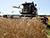 Belarus’ grain harvest past 7.7m tonnes