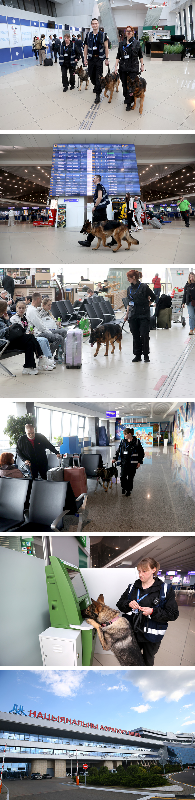 K9 service on duty at Minsk National Airport