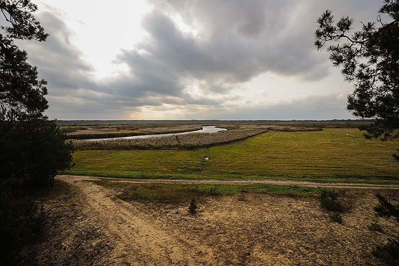 Sporovsky Reserve